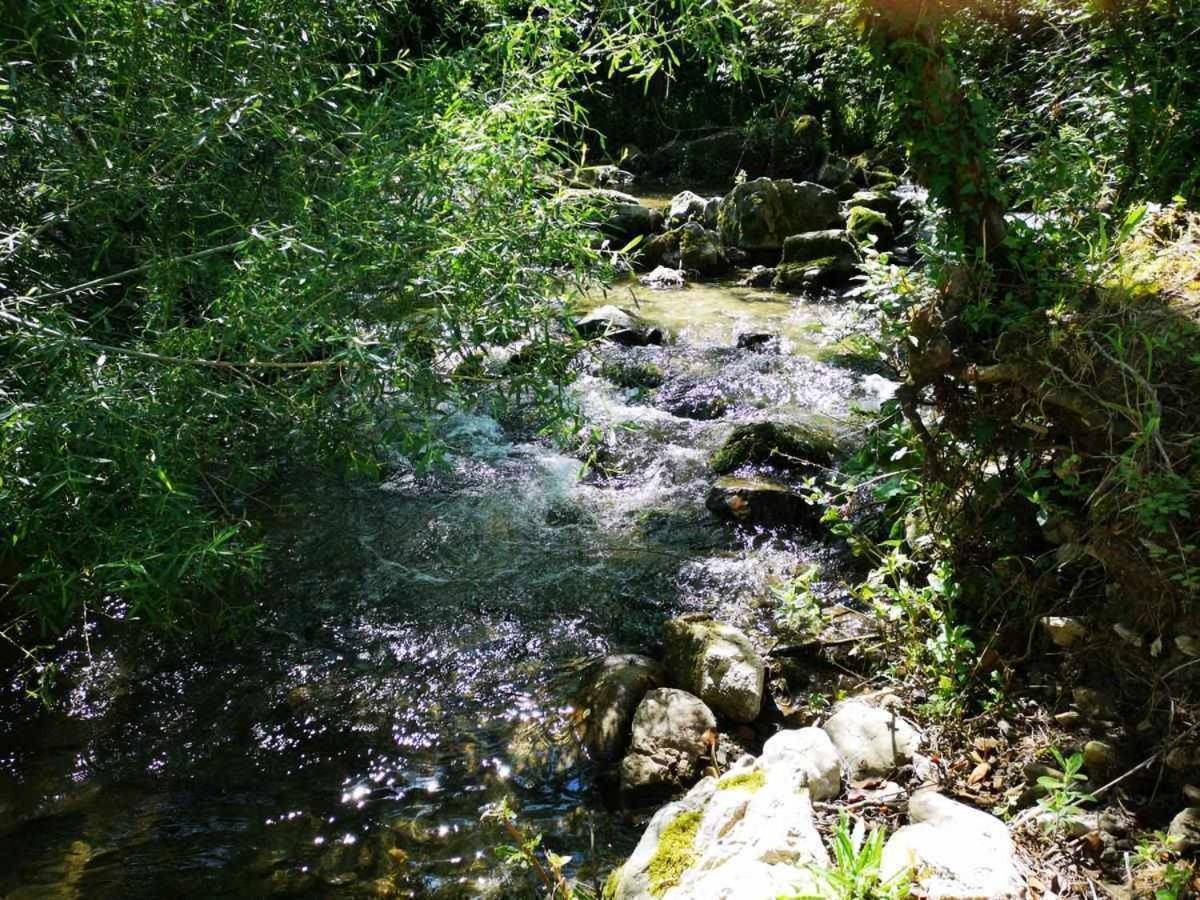 Molino Dei Ciliegi Splendida Villa In Umbria San Venanzo Zewnętrze zdjęcie